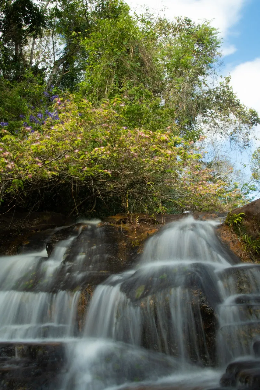 Sítio à venda de 16 ha em Piraju, SP, Brasil