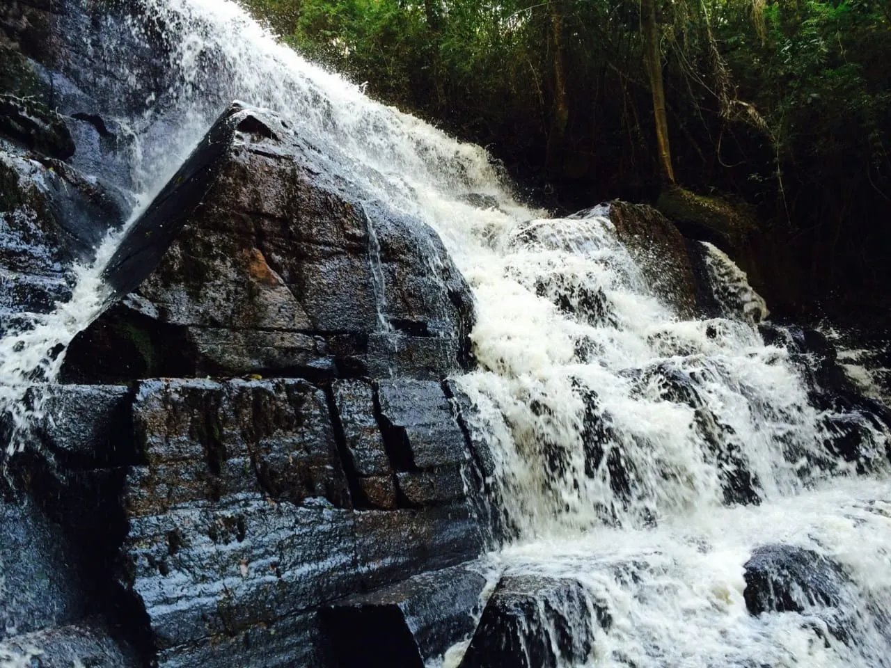 Sítio à venda de 16 ha em Piraju, SP, Brasil