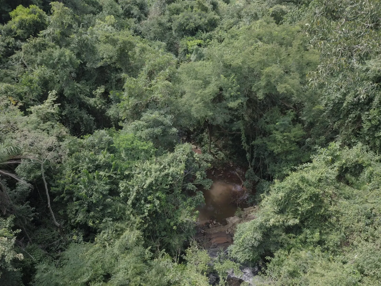 Sítio à venda de 16 ha em Piraju, SP, Brasil