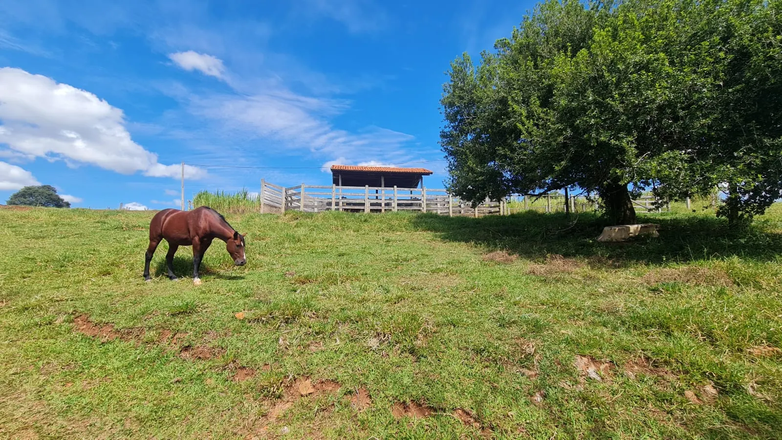 Sítio à venda de 16 ha em Piraju, SP, Brasil