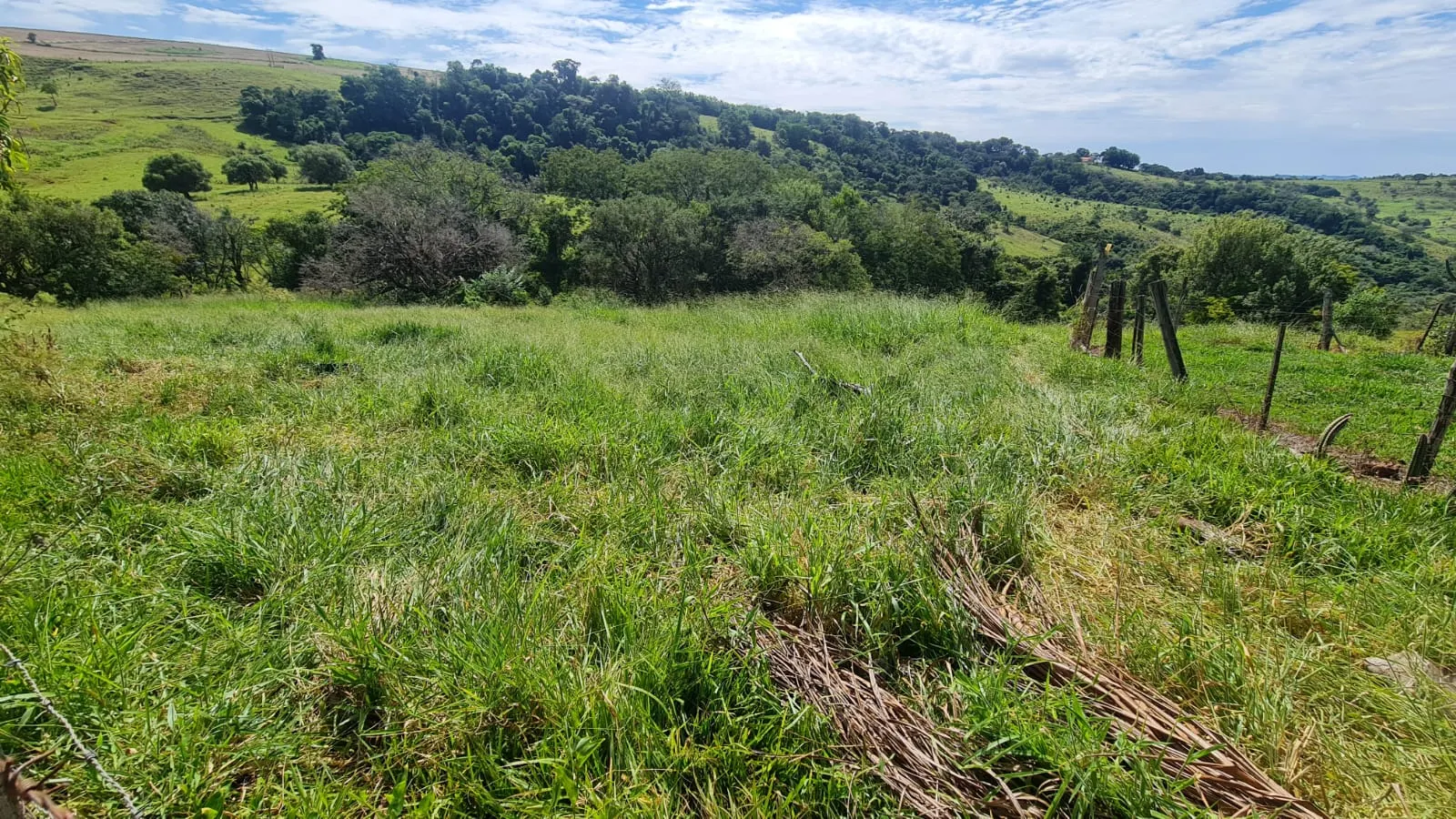 Sítio à venda de 16 ha em Piraju, SP, Brasil