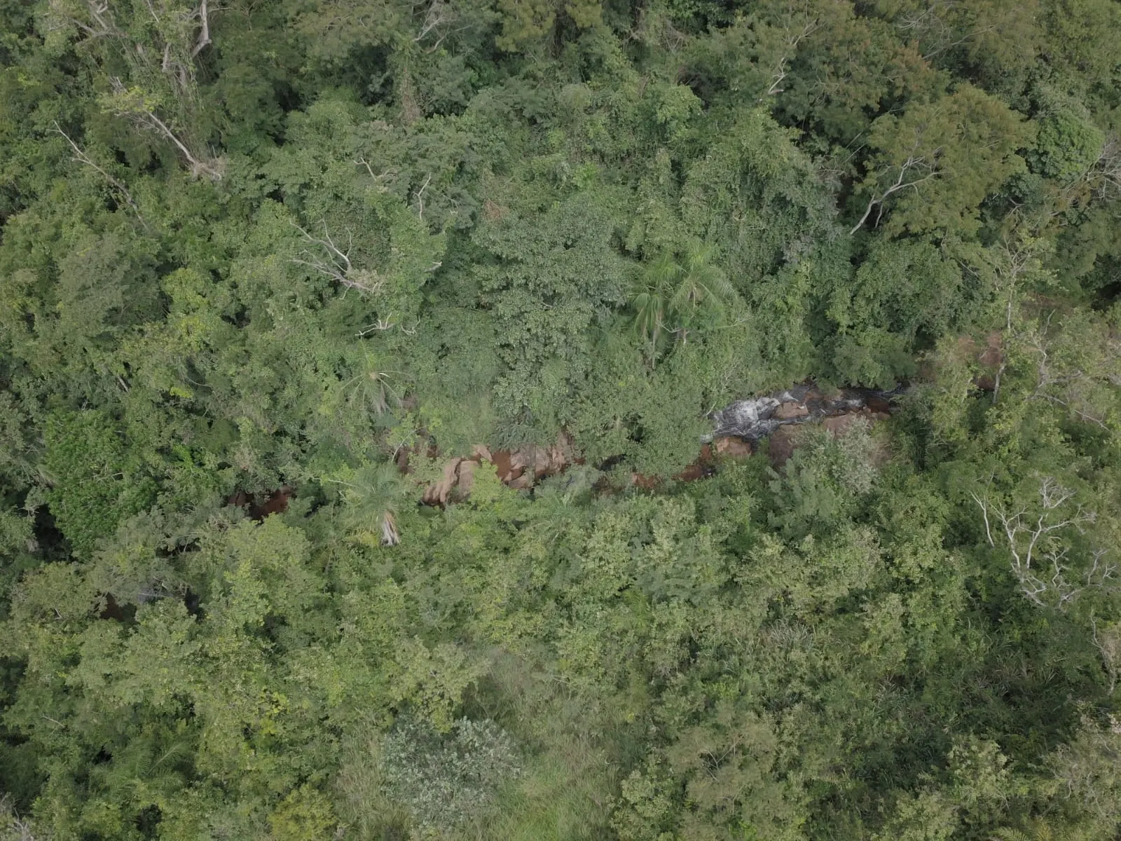 Sítio à venda de 16 ha em Piraju, SP, Brasil