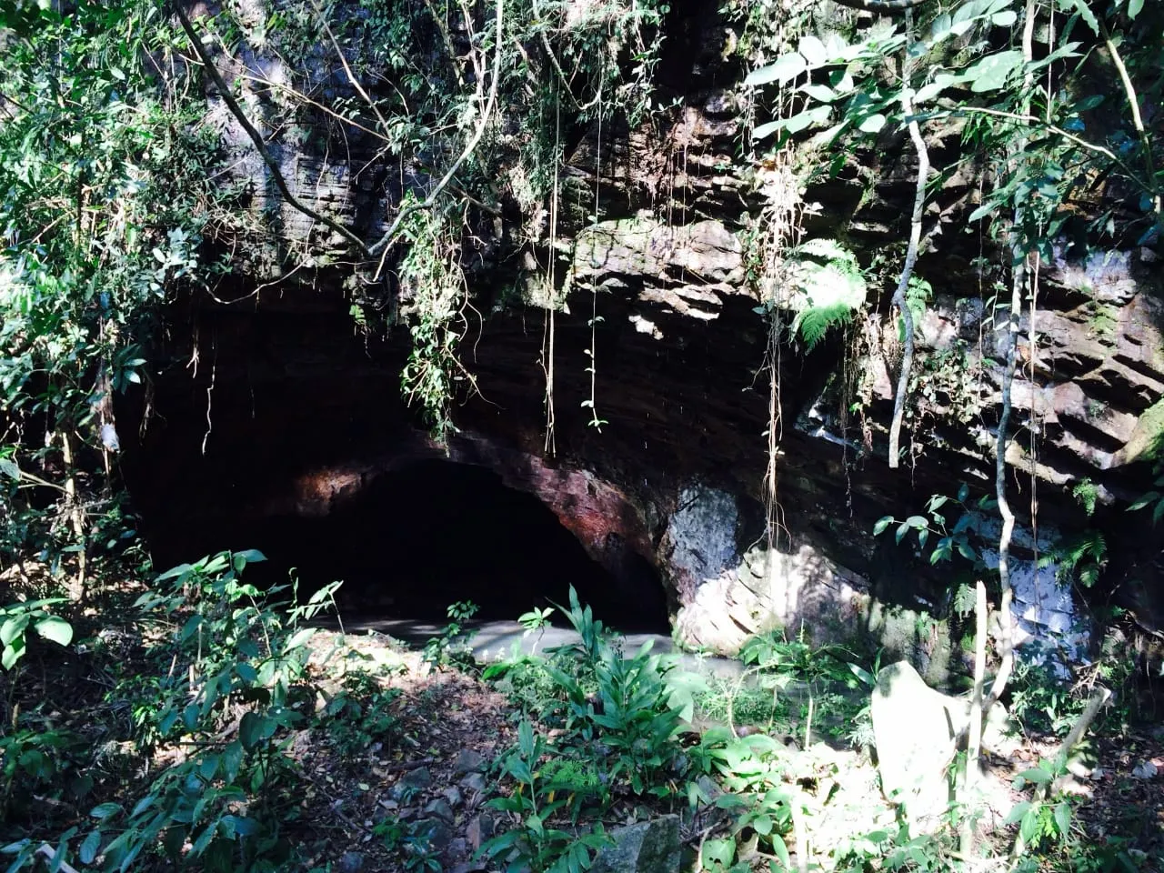 Sítio à venda de 16 ha em Piraju, SP, Brasil