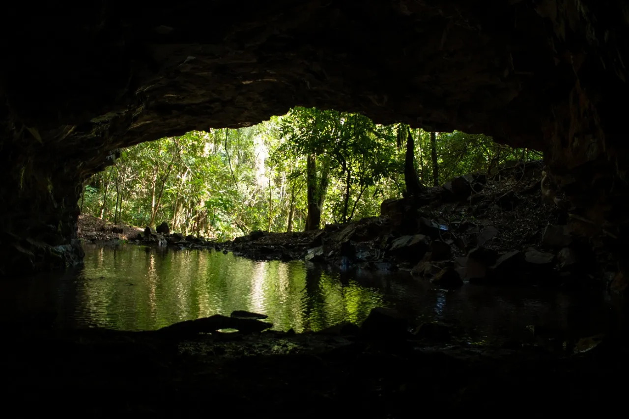 Sítio à venda de 16 ha em Piraju, SP, Brasil