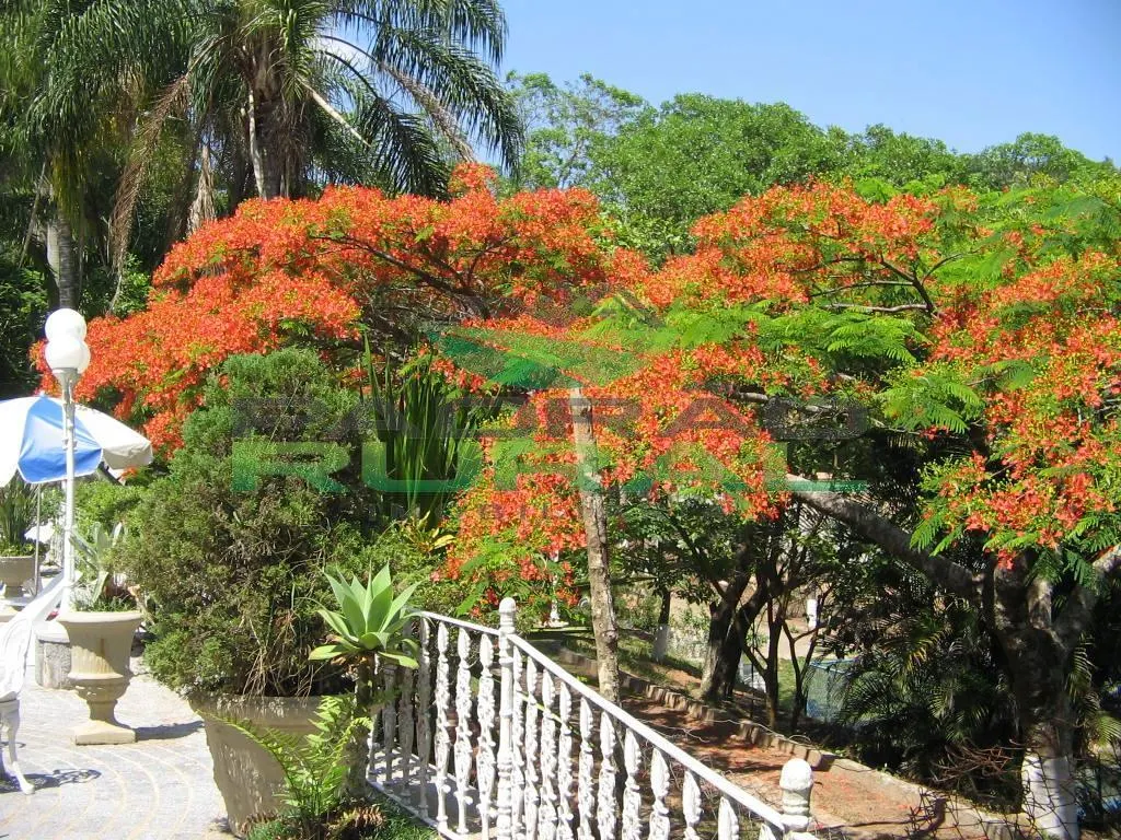 Chácara à venda de 1 ha em Valinhos, SP, Brasil