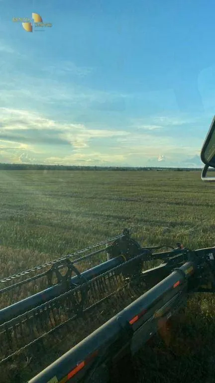Fazenda à venda de 3.520 ha em Itaúba, MT, Brasil