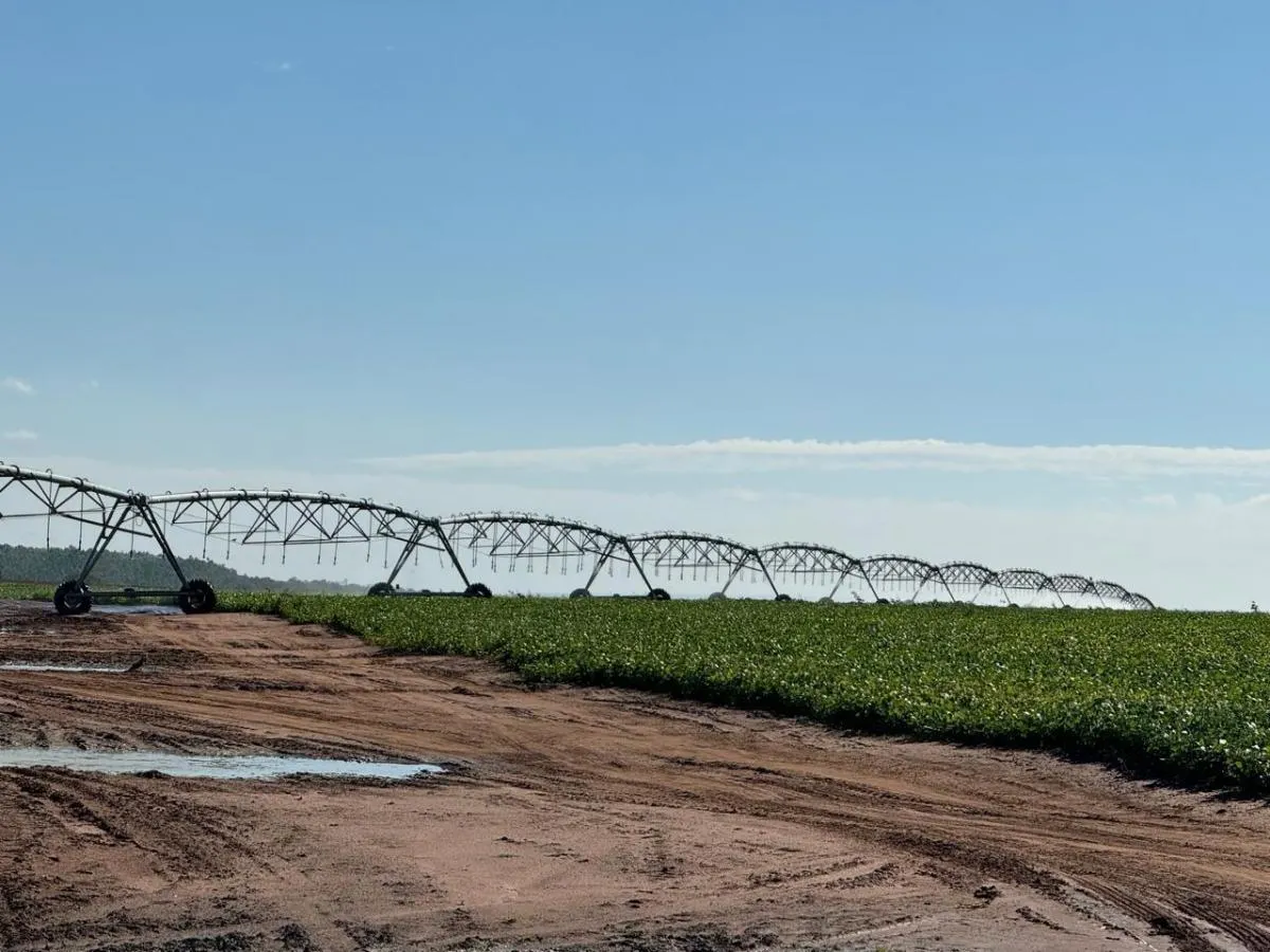 Sítio à venda de 24 ha em Itobi, SP, Brasil