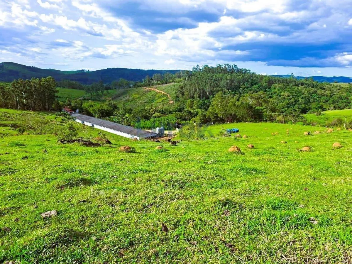 Sítio à venda de 18 ha em Bragança Paulista, SP, Brasil