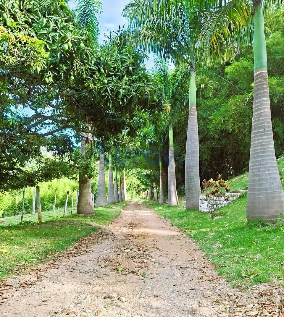Sítio à venda de 18 ha em Bragança Paulista, SP, Brasil