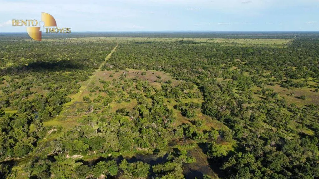 Fazenda à venda de 750 ha em Cuiabá, MT, Brasil