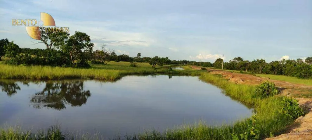 Fazenda à venda de 750 ha em Cuiabá, MT, Brasil