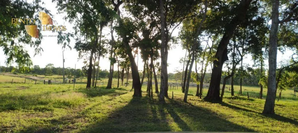 Fazenda à venda de 750 ha em Cuiabá, MT, Brasil
