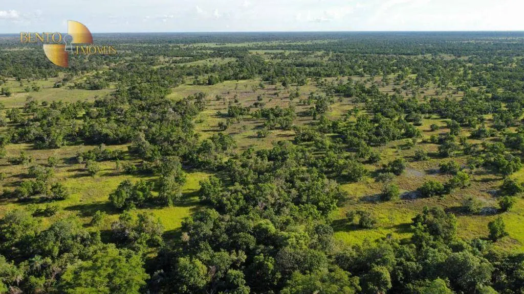 Fazenda à venda de 750 ha em Cuiabá, MT, Brasil