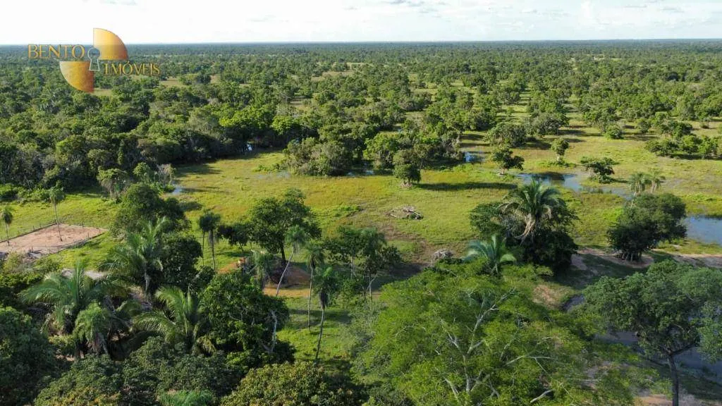 Fazenda à venda de 750 ha em Cuiabá, MT, Brasil