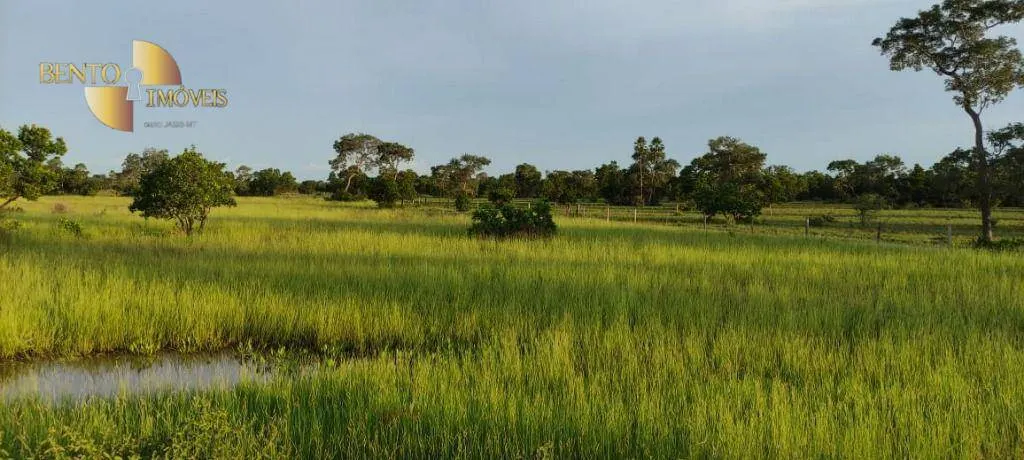 Fazenda à venda de 750 ha em Cuiabá, MT, Brasil