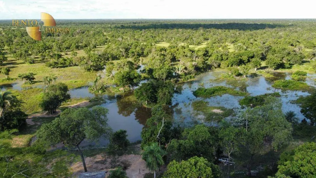 Fazenda à venda de 750 ha em Cuiabá, MT, Brasil