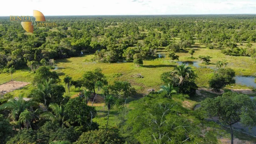 Fazenda à venda de 750 ha em Cuiabá, MT, Brasil