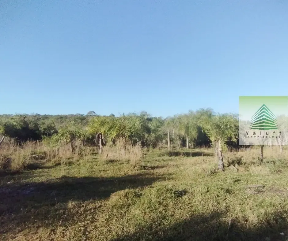 Farm for sale of 37 acres in Villeta, Paraguay