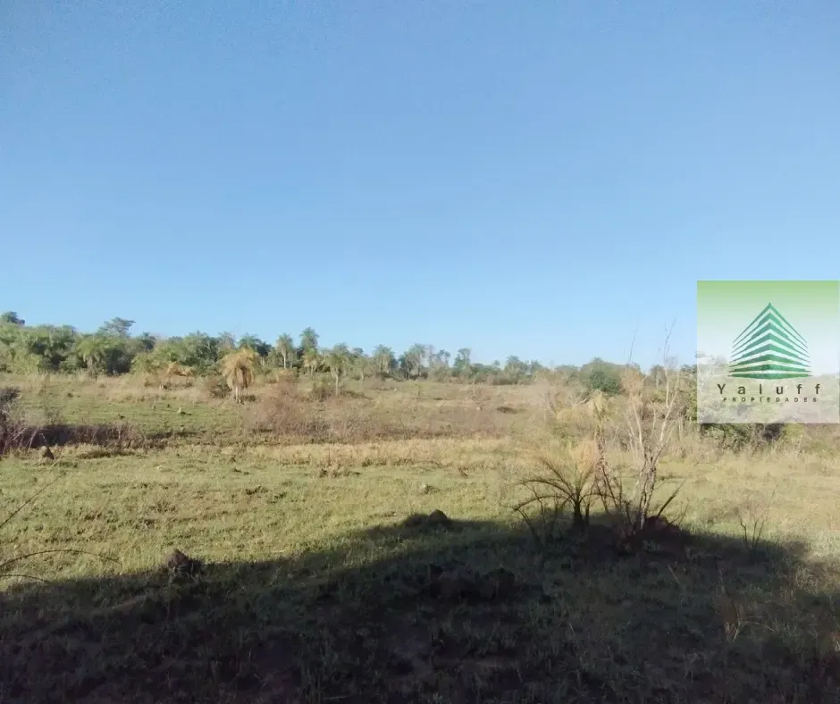 Farm for sale of 37 acres in Villeta, Paraguay