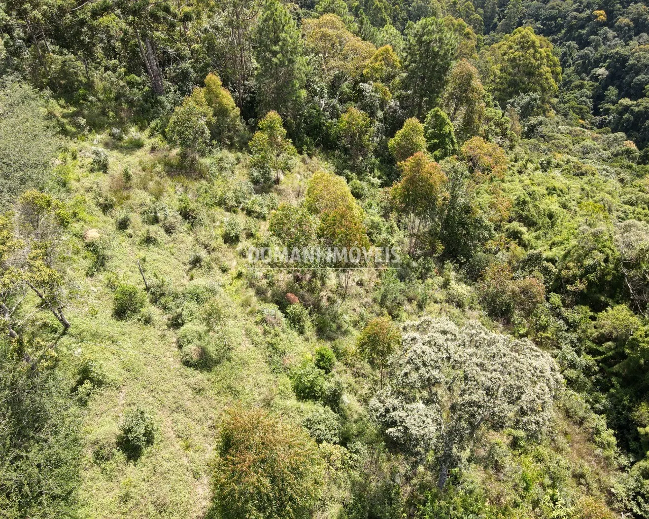 Terreno à venda de 5.710 m² em Campos do Jordão, SP, Brasil