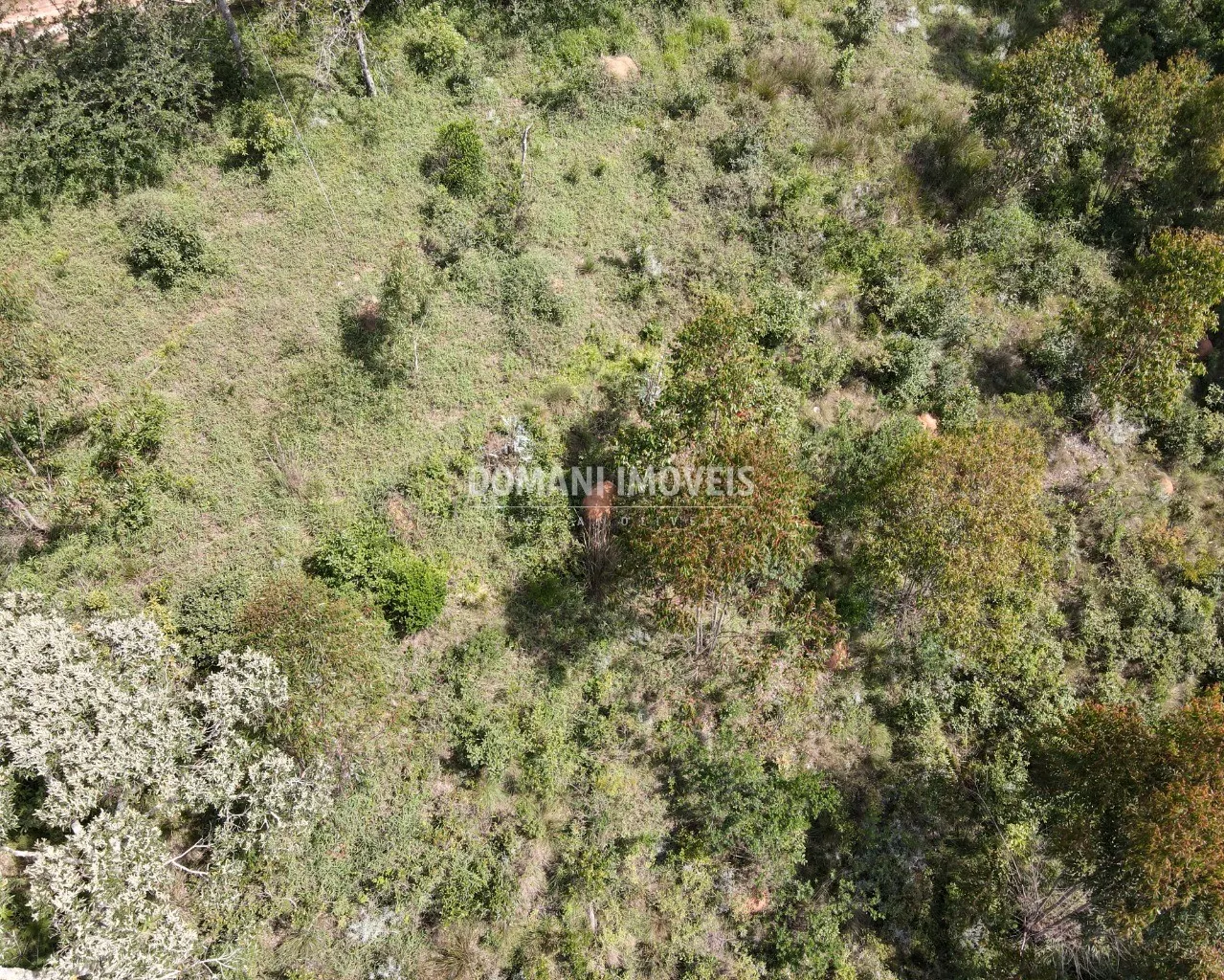 Terreno à venda de 5.710 m² em Campos do Jordão, SP, Brasil