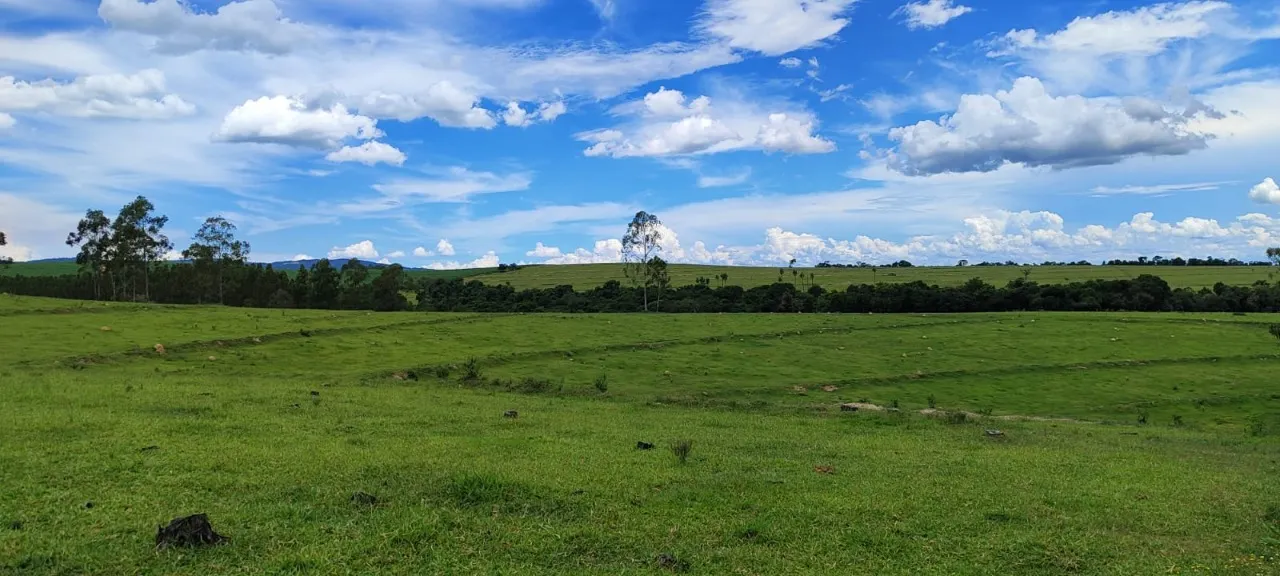 Fazenda à venda de 162 ha em Sorocaba, SP, Brasil