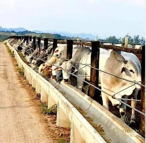 Fazenda à venda de 1.086 ha em São José dos Campos, SP, Brasil