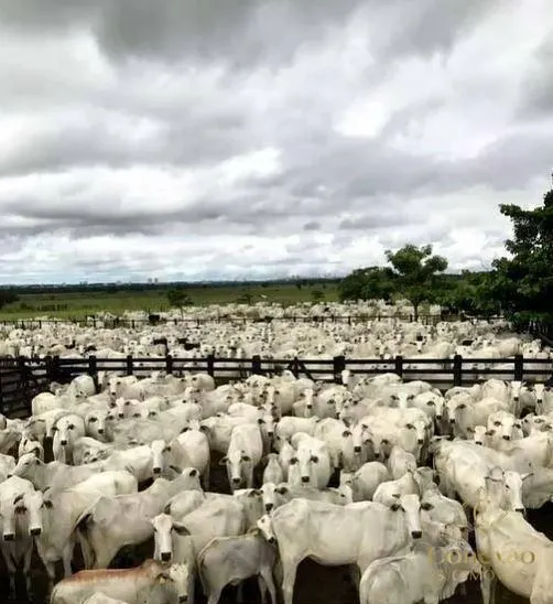 Fazenda à venda de 1.086 ha em São José dos Campos, SP, Brasil