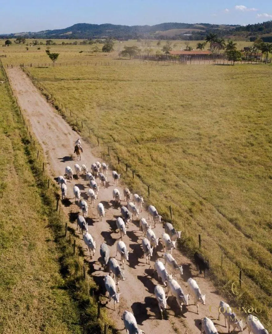 Fazenda à venda de 1.086 ha em São José dos Campos, SP, Brasil