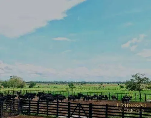 Fazenda à venda de 1.086 ha em São José dos Campos, SP, Brasil