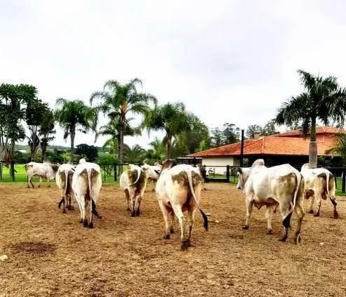 Fazenda à venda de 1.086 ha em São José dos Campos, SP, Brasil