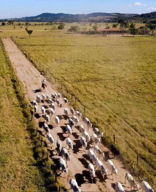 Fazenda à venda de 1.086 ha em São José dos Campos, SP, Brasil