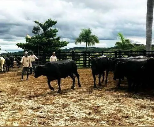 Fazenda à venda de 1.086 ha em São José dos Campos, SP, Brasil