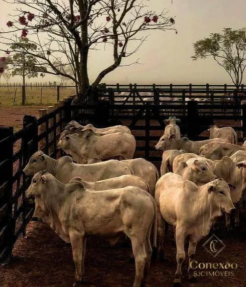 Fazenda à venda de 1.086 ha em São José dos Campos, SP, Brasil