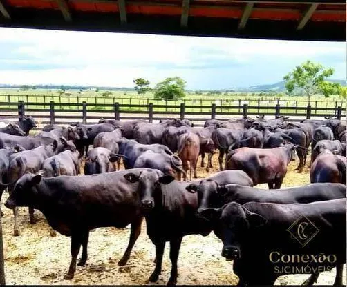 Fazenda à venda de 1.086 ha em São José dos Campos, SP, Brasil