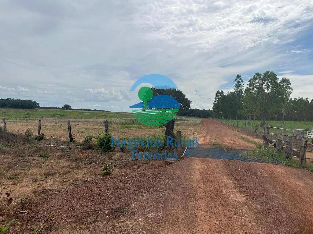 Fazenda à venda de 1.379 ha em Figueirópolis, TO, Brasil