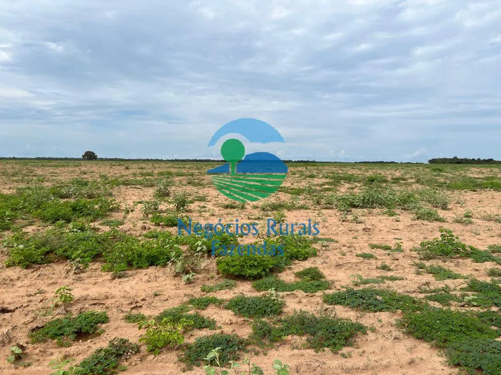 Fazenda à venda de 1.379 ha em Figueirópolis, TO, Brasil