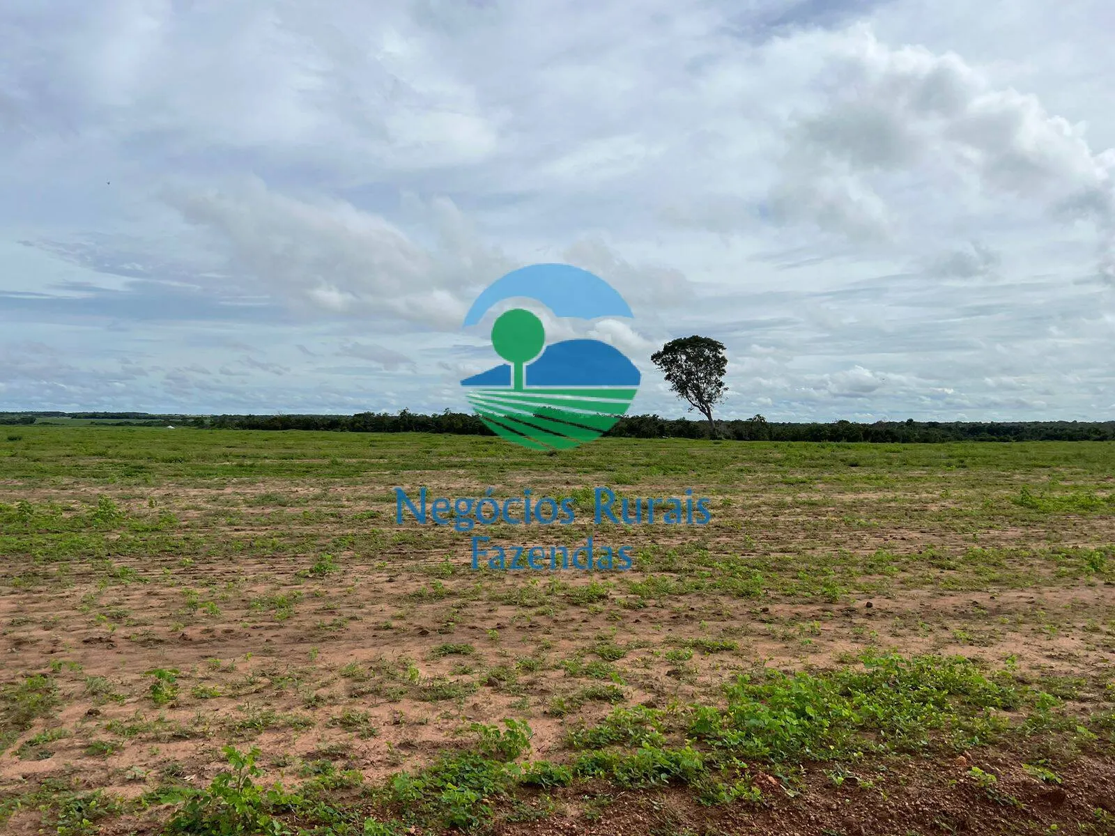 Fazenda à venda de 1.379 ha em Figueirópolis, TO, Brasil