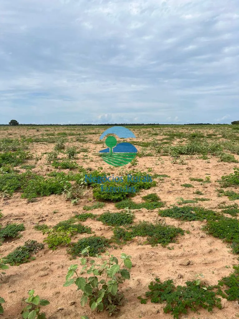 Fazenda à venda de 1.379 ha em Figueirópolis, TO, Brasil