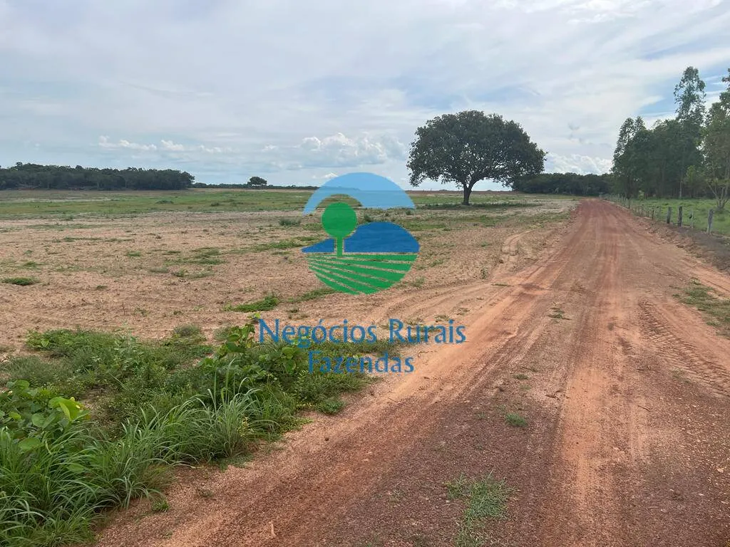 Fazenda à venda de 1.379 ha em Figueirópolis, TO, Brasil