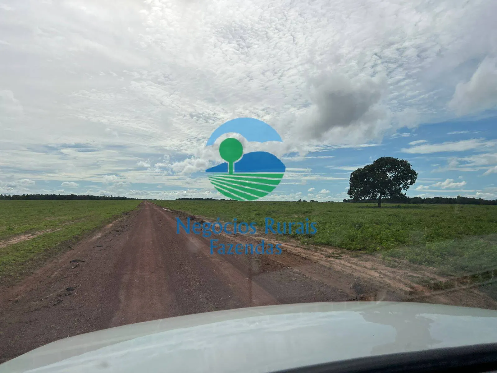 Fazenda à venda de 1.379 ha em Figueirópolis, TO, Brasil
