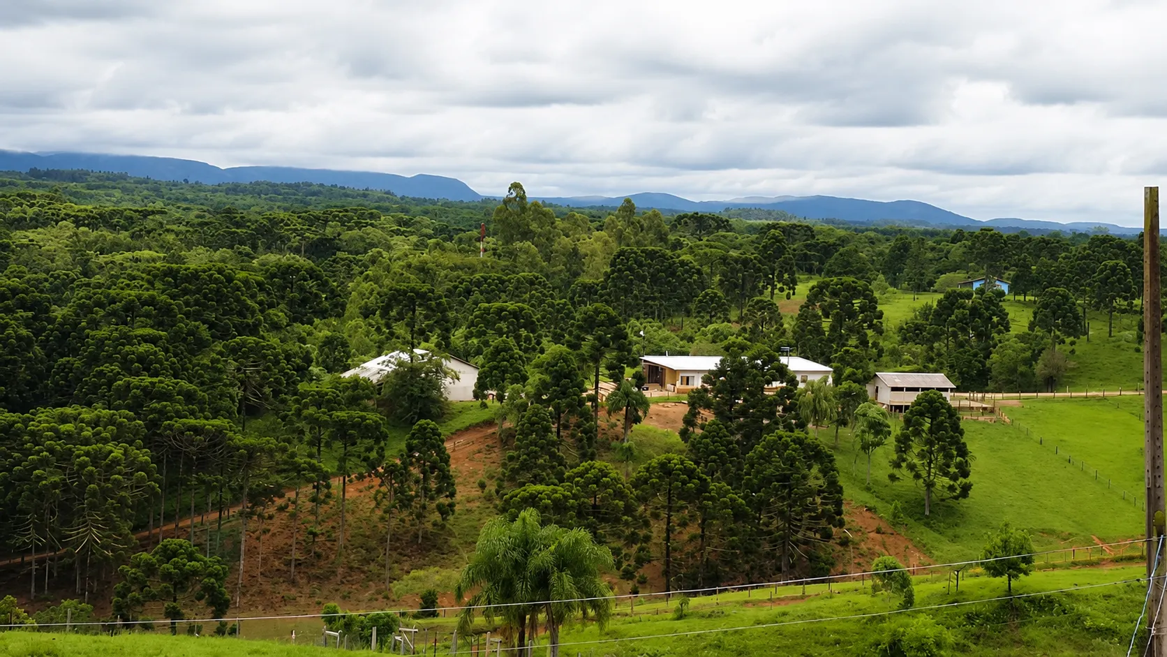 Haras à venda de 52 ha em Tijucas do Sul, PR, Brasil