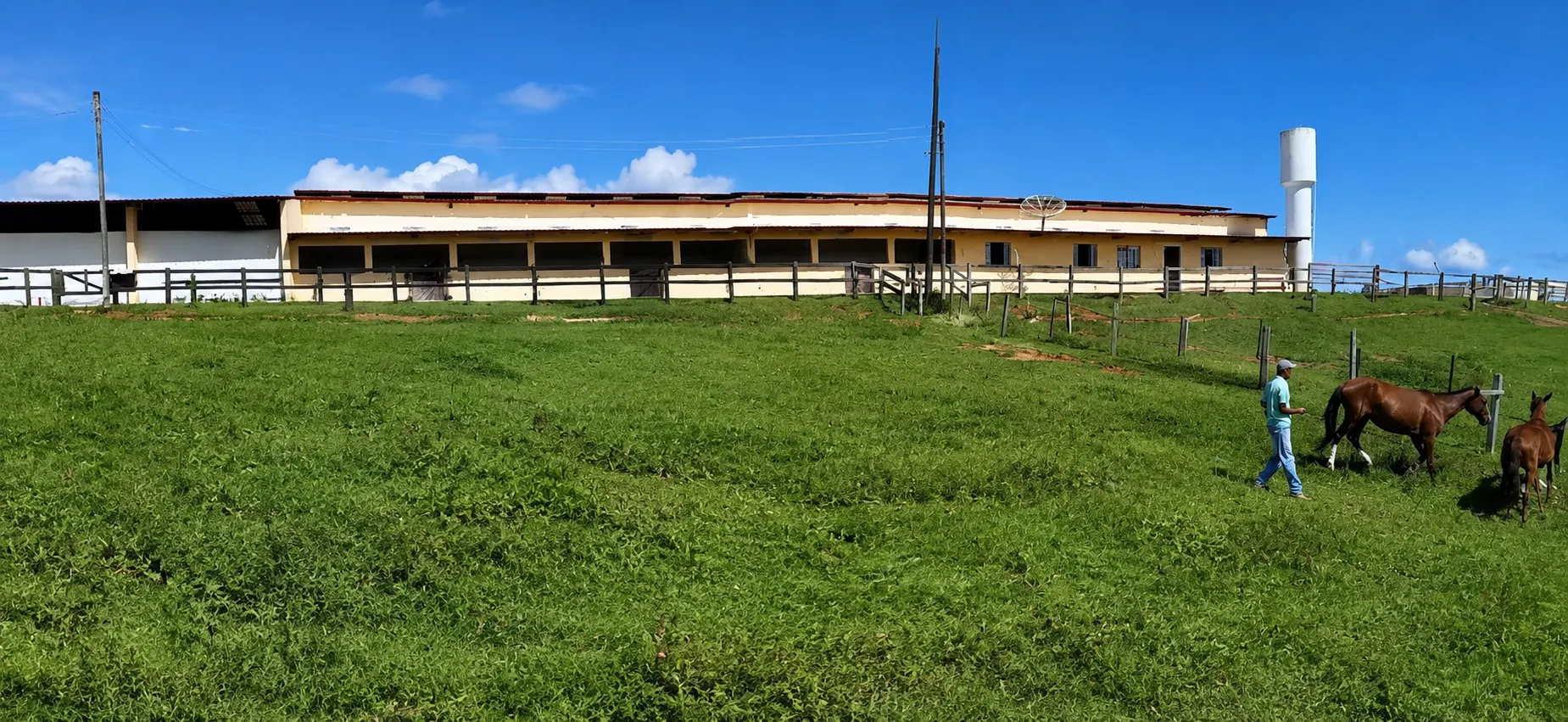 Haras à venda de 52 ha em Tijucas do Sul, PR, Brasil