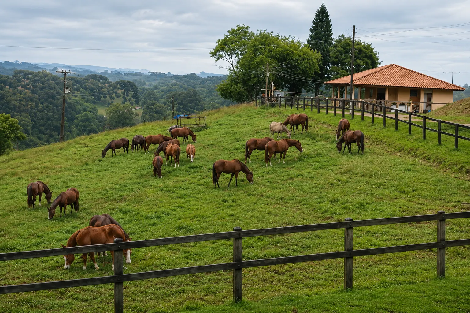 Haras à venda de 52 ha em Tijucas do Sul, PR, Brasil