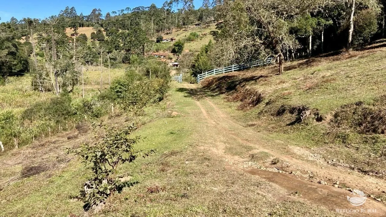 Small farm for sale of 30 acres in Cunha, SP, Brazil