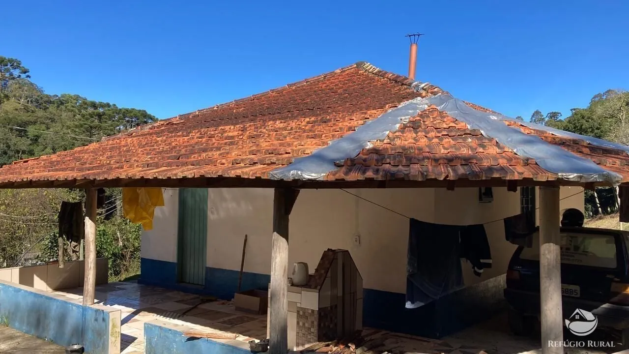 Small farm for sale of 30 acres in Cunha, SP, Brazil