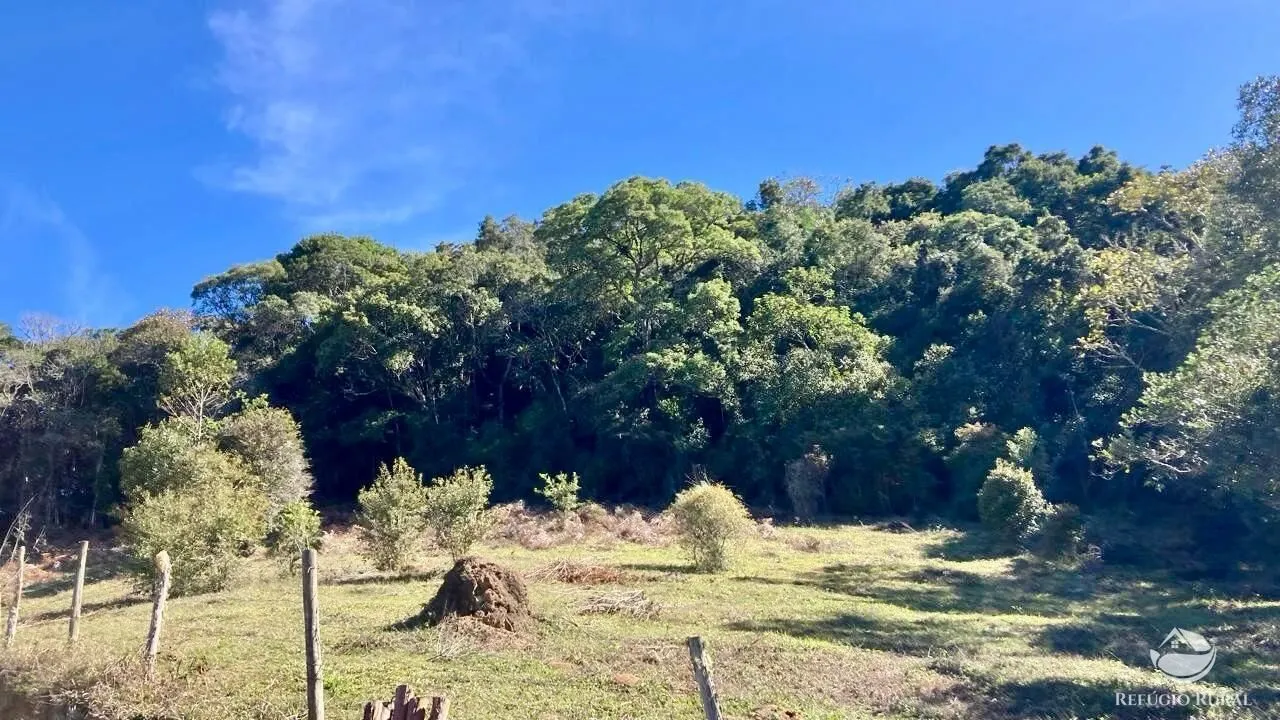 Small farm for sale of 30 acres in Cunha, SP, Brazil