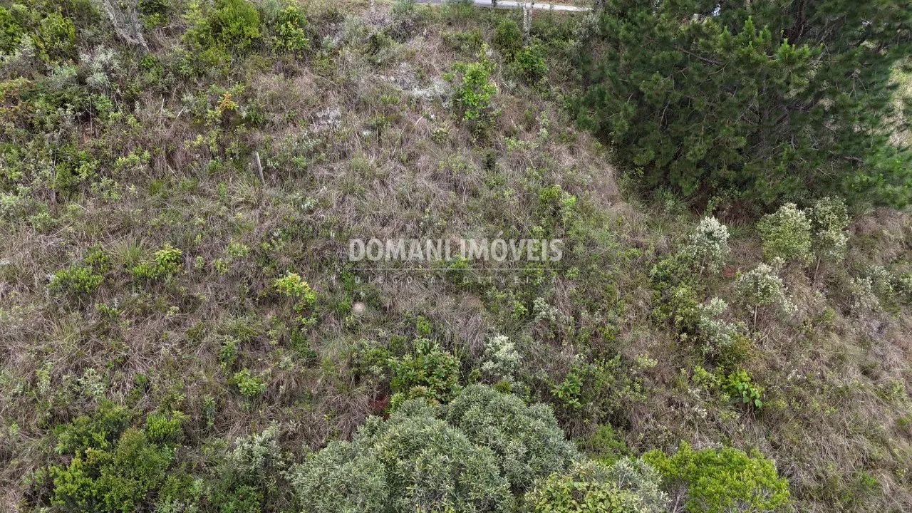 Terreno à venda de 1.250 m² em Campos do Jordão, SP, Brasil