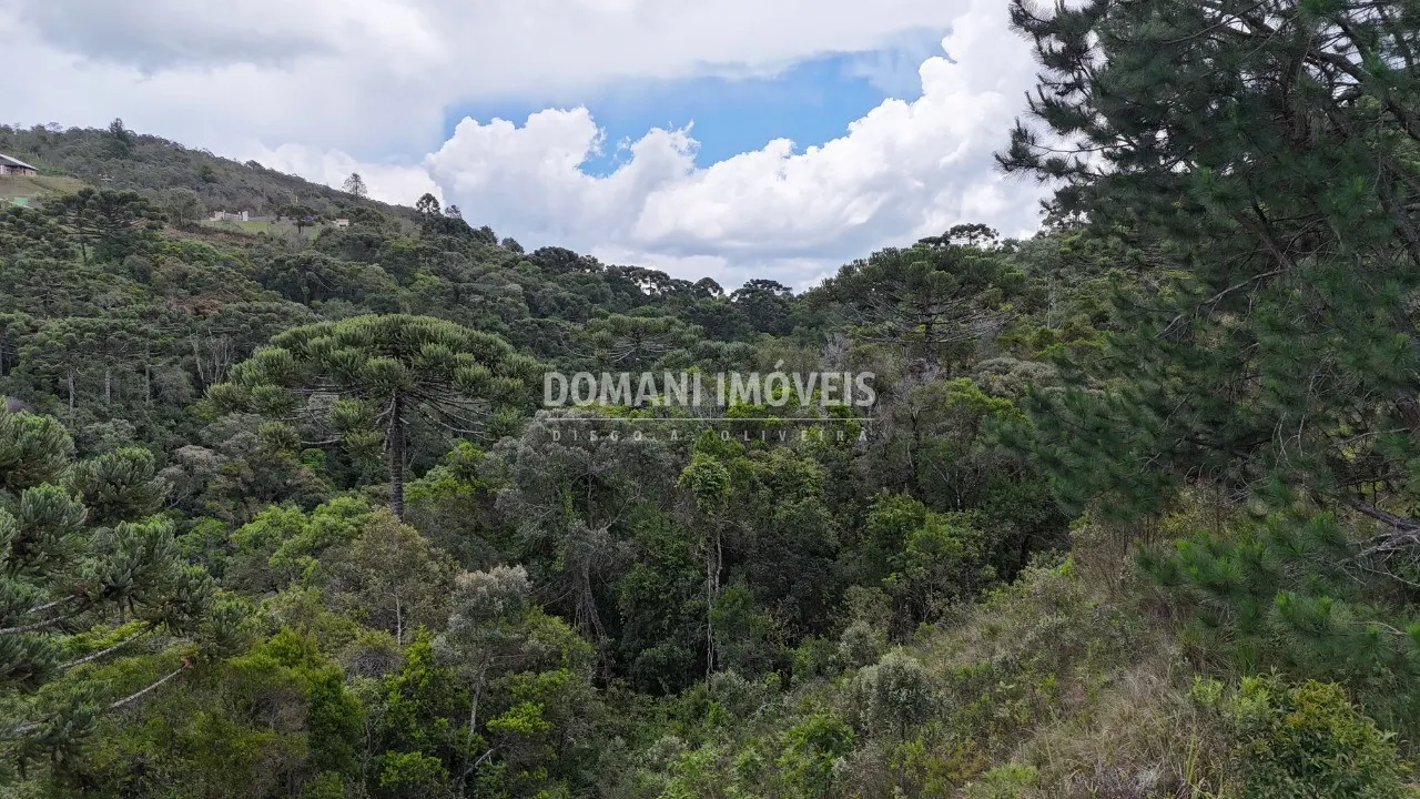 Terreno à venda de 1.250 m² em Campos do Jordão, SP, Brasil
