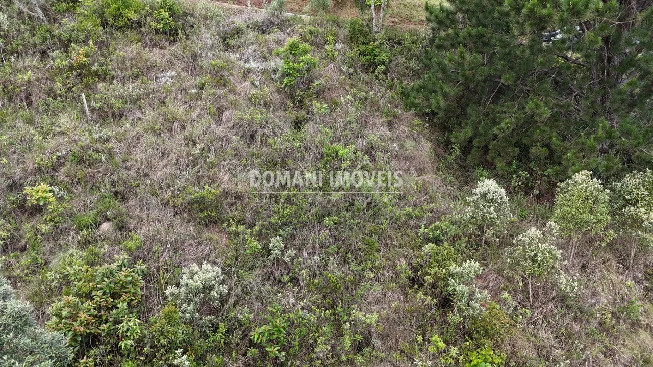 Terreno à venda de 1.250 m² em Campos do Jordão, SP, Brasil